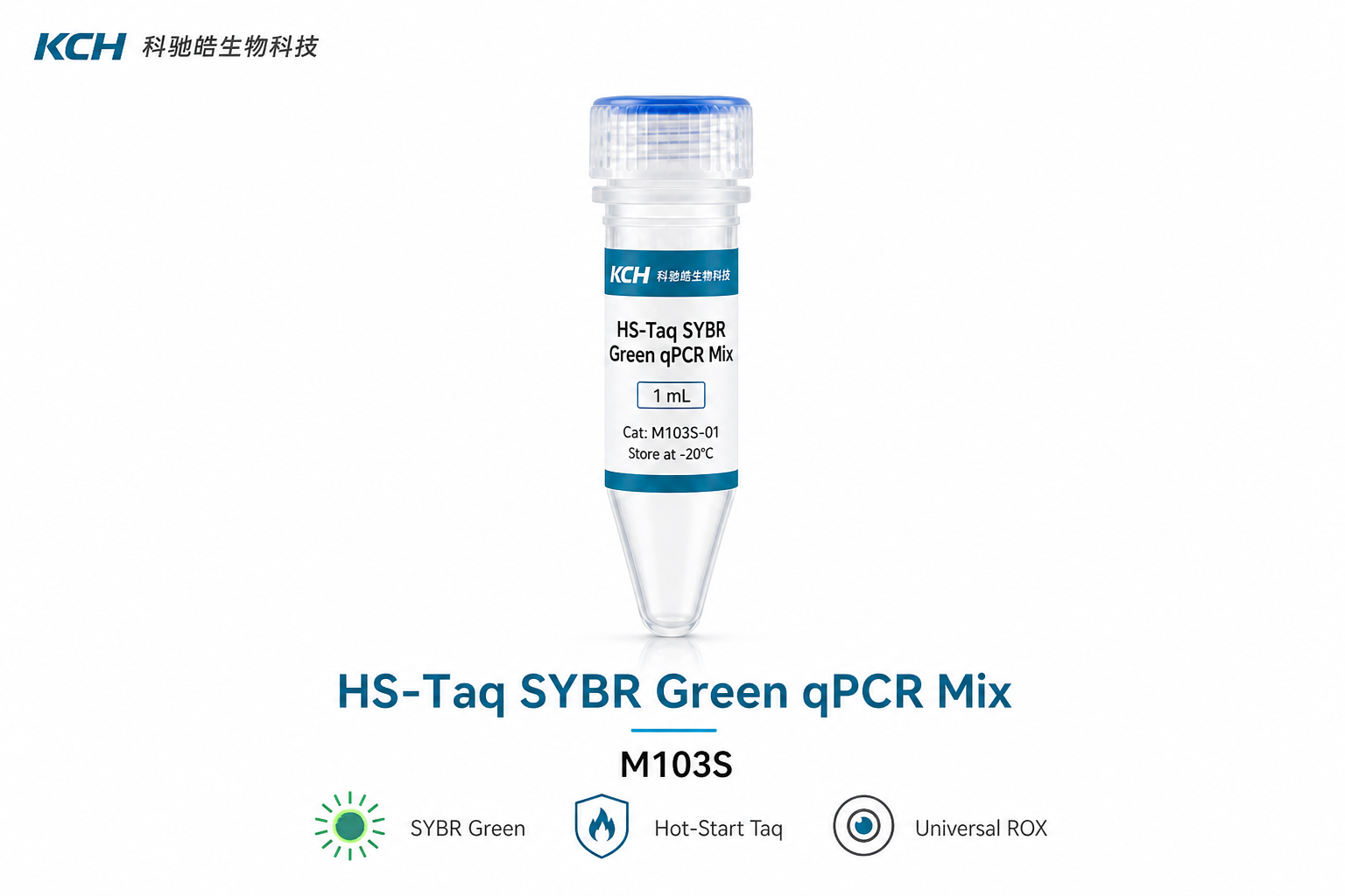 HS-Taq SYBR Green qPCR Mix